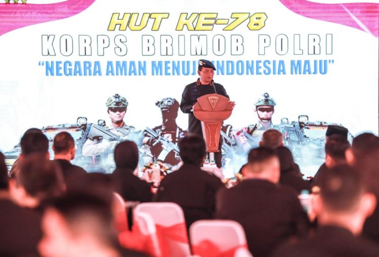 WhatsApp Image 2023 11 16 at 15.29.09