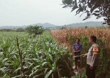 WhatsApp Image 2025 06 16 at 08.49.48