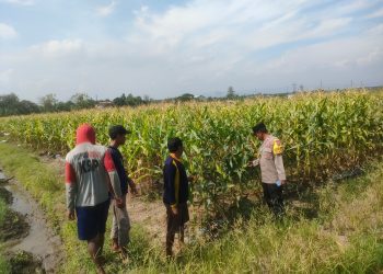 WhatsApp Image 2025 06 16 at 08.49.57