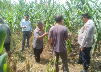 WhatsApp Image 2025 06 16 at 08.50.01