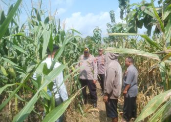 WhatsApp Image 2025 06 16 at 08.50.06