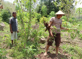 WhatsApp Image 2025 10 05 at 10.37.11