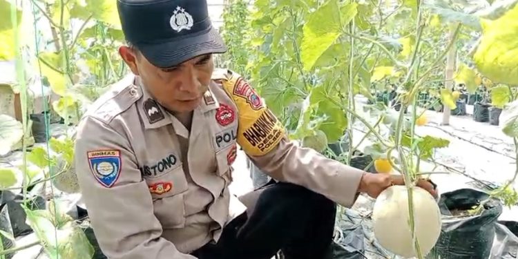 WhatsApp Image 2025 10 13 at 09.18.31