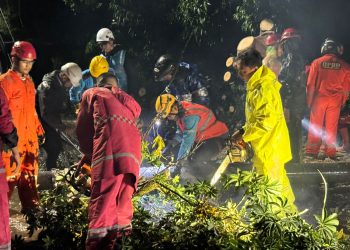 WhatsApp Image 2025 11 11 at 09.23.39