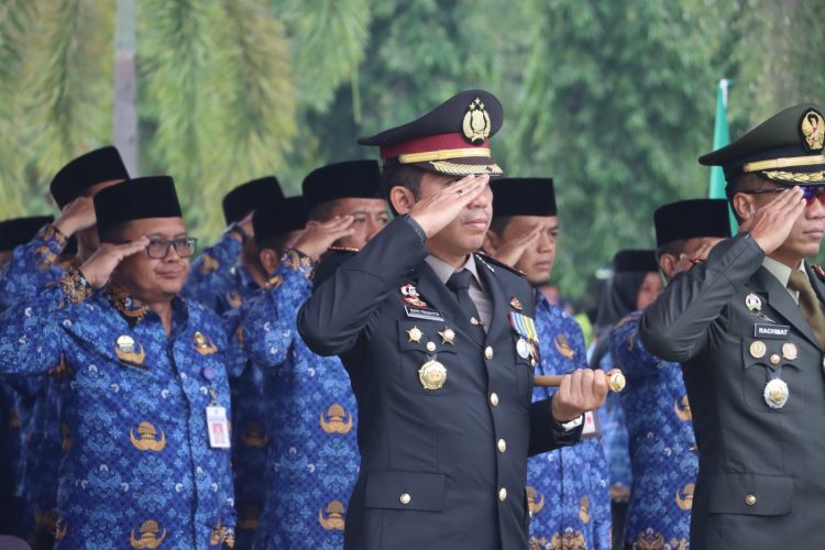 WhatsApp Image 2025 12 01 at 08.40.31