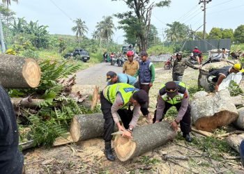 WhatsApp Image 2025 12 09 at 08.35.23