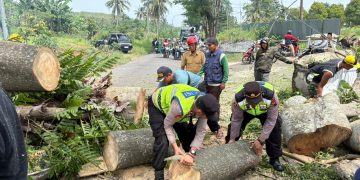 WhatsApp Image 2025 12 09 at 08.35.23