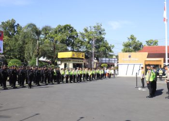 WhatsApp Image 2025 12 20 at 08.44.23