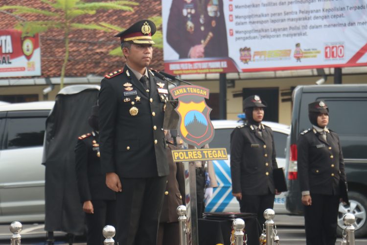 WhatsApp Image 2025 12 22 at 07.53.11 (1)