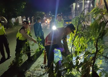 WhatsApp Image 2025 12 23 at 21.52.55