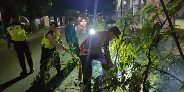 WhatsApp Image 2025 12 23 at 21.52.55