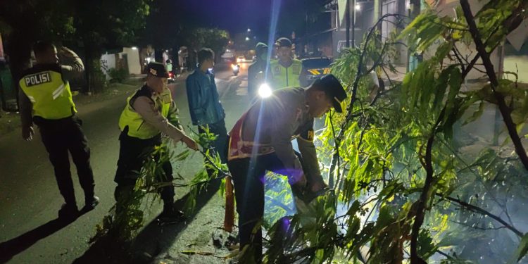 WhatsApp Image 2025 12 23 at 21.52.55