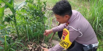 WhatsApp Image 2025 12 31 at 11.26.26