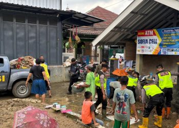 WhatsApp Image 2026 02 03 at 14.54.52 (1)