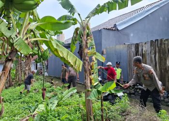 WhatsApp Image 2026 02 11 at 13.00.19 (1)