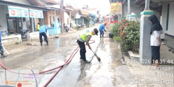 WhatsApp Image 2026 02 11 at 19.57.53