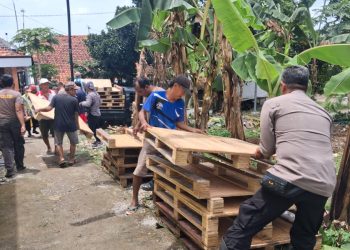 WhatsApp Image 2026 02 11 at 20.08.11